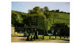 Carte Postale : Castleton And Peveril Castle, Derbyshire, 1984 - Derbyshire