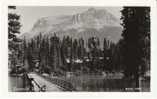Emerald Lake Chalet BC Canada, Near Field BC(?), On Real Photo Postcard - Autres & Non Classés