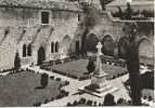 FORCALQUIER Ancien Couvent Des Cordeliers La Cour Intérieure - Forcalquier