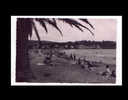 LA SEYNE N° 935 - LES SABLETTES - LA PLAGE - La Seyne-sur-Mer