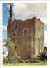 Montbazon: Le Donjon, Ruines Du Chateau, Vierge à L' Enfant Jesus (09-2250) - Montbazon