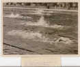 PHOTO PRESSE NATATION TOURELLES CHAMP. DE FRANCE 1936 - Natation