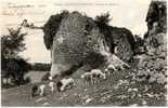 Creuse - La Souterraine - Ruines De Bridiers "moutons" - La Souterraine