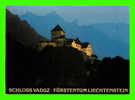 LIECHTENSTEIN - SCHLOSS VADUZ BEI NACHT - VERLAG HUBERT GASSNER - - Liechtenstein