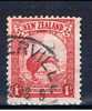 NZ+ Neuseeland 1935 Mi 190 Kiwi - Used Stamps