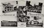 D40 - SOUVENIR DE ST VINCENT DE TYROSSE - Cpsm Au Bromure - HOTEL DE VILLE+ EGLISE+RESINIER+ LE STADE MUNICIPAL+ARENES - Saint Vincent De Tyrosse