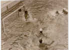 PHOTO PRESSE NATATION WATER POLO - TOURELLES - Nuoto