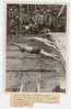 PHOTO PRESSE NATATION - FETES 1938 - Swimming