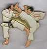 La Prise De Judo - Judo