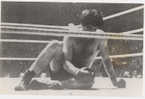 PHOTO BOXE - FREDDIE MILLS - Other & Unclassified