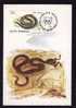 Romania Maximum Card SERPENTS,1993 Cancell FDC. - Serpents