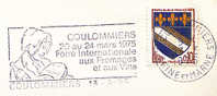 1975 France 77 Seine-et-Marne Coulommiers Vins Vendanges Vigne Vignobles Wine Festival Vineyard Wines Vini Enologia - Vinos Y Alcoholes