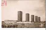 DRANCY 93 Les Gratte Ciel Editions Marco Carte Dentelée Véritable Photo - Drancy