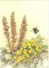 GUERNSEY Post Office Stamp-Card - Abeille. - Abeilles