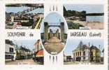 JARGEAU 45 Loiret Carte Multivues Editions Combier Carte Dentelée Véritable Photo - Jargeau