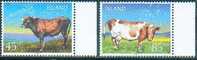 Islande Iceland 2003 - Races De Vaches Islandaises / Icelandic Cow Breeds - MNH - Farm