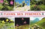 CPSM.   FLEURS DE PYRENEES. - Midi-Pyrénées