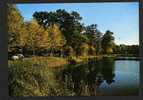 CHAVILLE - 92 - L´ETANG DES URSINES - HAUTS DE SEINE . Voiture Volxwagen - Chaville