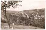 14 - Vue Panoramique Sur Pont D'Ouilly  - Carte-photo R. Désaunay (circulée 1952) - Pont D'Ouilly