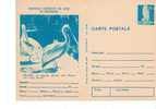 Romania / Postal Stationery / Protected Birds In Romania - Pelícanos
