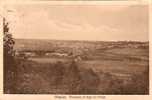 Oignies - Panorama Du Haut Du Village - Philippeville