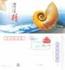 Coneshell Shell   , Specimen  Prepaid Card , Postal Stationery - Conchiglie