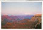 - USA -  ARIZONA -  THE GRAND CANYON  -  Postcard - Bon état - Scan - - Grand Canyon