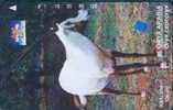 # INDONESIA S324 Oryx Arabia 125 Tamura 03.96 -animal- Tres Bon Etat - Indonesië