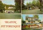 BLATON-MULTIVUES-DANCING- LE  CASTEL-LA BUCHE-RESTAURANT LE BUCHERON - Bernissart