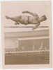 PHOTO PRESSE ATHLETISME 1933 - Athletics