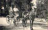Carte Photo Cocher.cabriolet..cheval - To Identify