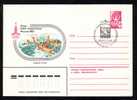 RUSSIA,Enteir Postaux, Stationery Cover 1980 Water-Polo,Olympic Games Moscova Cancell FDC. - Water Polo