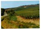 CHABLIS - YONNE - Les Clos De Chablis - Chablis