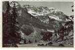 Suisse - Alpe De Barmaz / Champéry (Valais) - Champéry