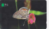 Oman,  OMN-G-34S, Grass Jewel, Butterfly, 2 Scans. - Oman