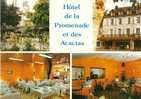 46  SOUILLAC HOTEL DE LA PROMENADE ET DES ACACIAS  TRES BON ETAT VOIR SCAN - Souillac