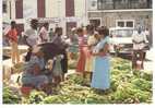 CPM De Saint Martin Aux Antilles Fançaise   Scène De Marché - Märkte