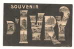 Ivry-sur-Seine (94) : Souvenir Du Bourg,multitude De Vues En 1905. - Ivry Sur Seine