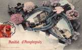815  -    AMPLEPUIS   -   (  69  )   .     Amitié  D ' Amplepuis     . - Amplepuis