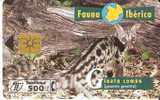 P-330 TARJETA GINETA COMÚN FAUNA IBERICA DEL 5/98 Y TIRADA 12000 NUEVA-MINT - Emisiones Privadas