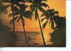 (215) 1 X Fidji - Fiji Postcard - Fidschi