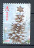 Norway 2005 Mi. 1558 Dr  A  Weihnachten Christmas Navidad Noel Jul - Gebraucht