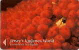 # JERSEY JER162 Gooseberry Sea Squirts 2 Gpt 01.97 20000ex Tres Bon Etat - Jersey En Guernsey