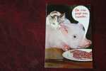 1976 ANIMAUX HUMOURISTIQUES COCHON ET CHAT   CARTE POSTALE DE FRANCE - Schweine