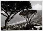 VASTO MARINA, PANORAMA, B/N, VG 1960   **//** - Chieti