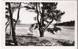 LARMOR BADEN 56 L'Ile Ar GAZEK  En Date De 1952 Editions Artaud Carte Dentelée Véritable Photo - Larmor-Plage