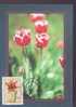 FRANCE CARTE MAXIMUM  NUM.YVERT 3335 NATURE FLORE TULIPE - 2000-2009