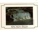 Canada-Niagara Falls- CPM Dimensions 16,5cmX11,5cm Photograph   A DEVANEY - Chutes Du Niagara