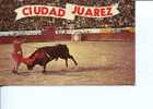 (104) Taureaux - Bull - Corrida - - Stieren