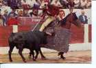 (104) Taureaux - Bull - Corrida - Picador - Tauri